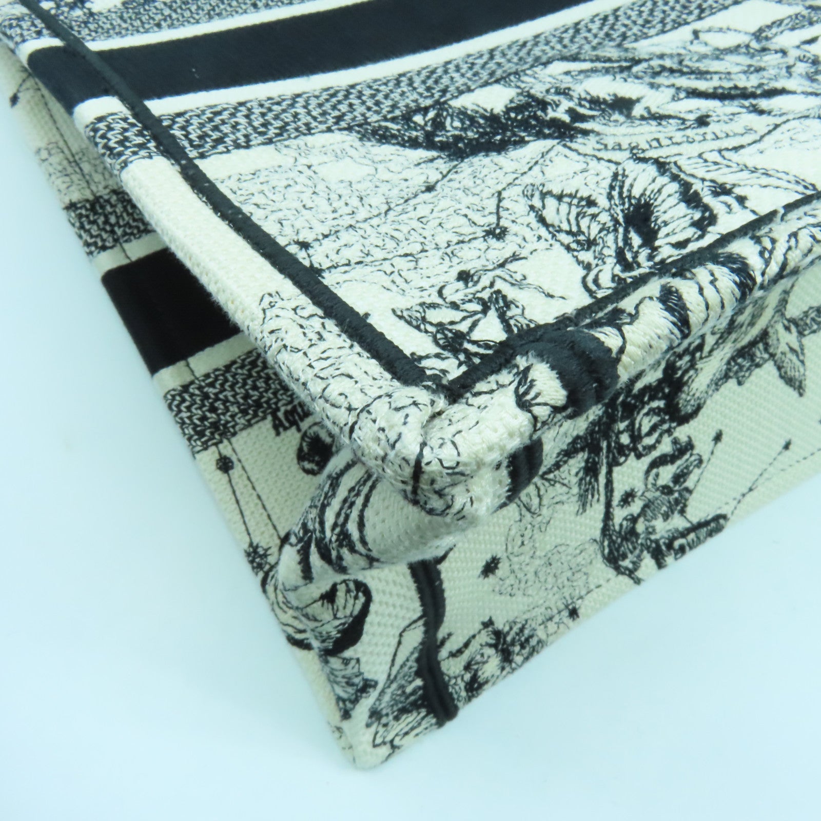 Dior 帆布Medium Book Tote手挽袋黑色/白色