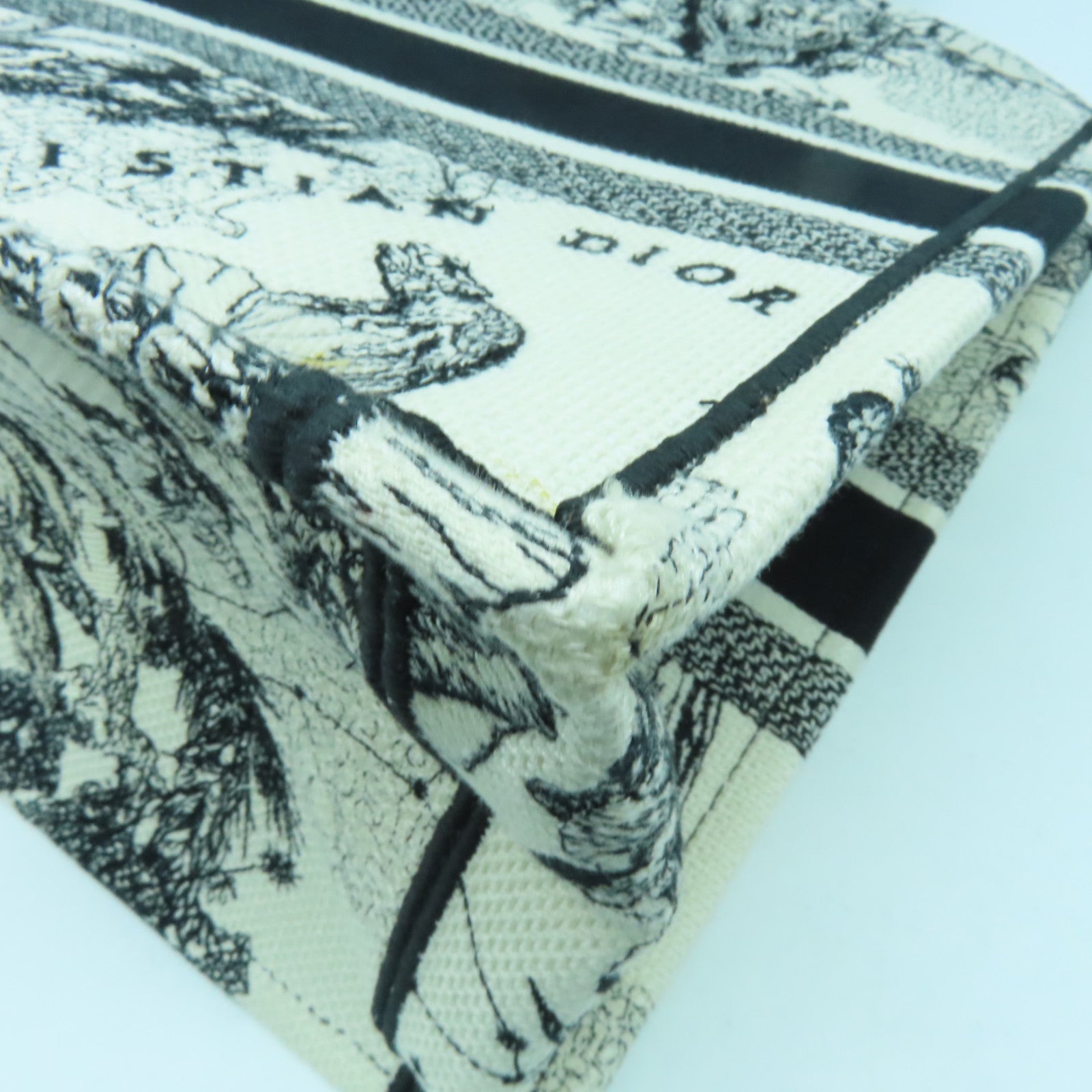 Dior 帆布Medium Book Tote手挽袋黑色/白色