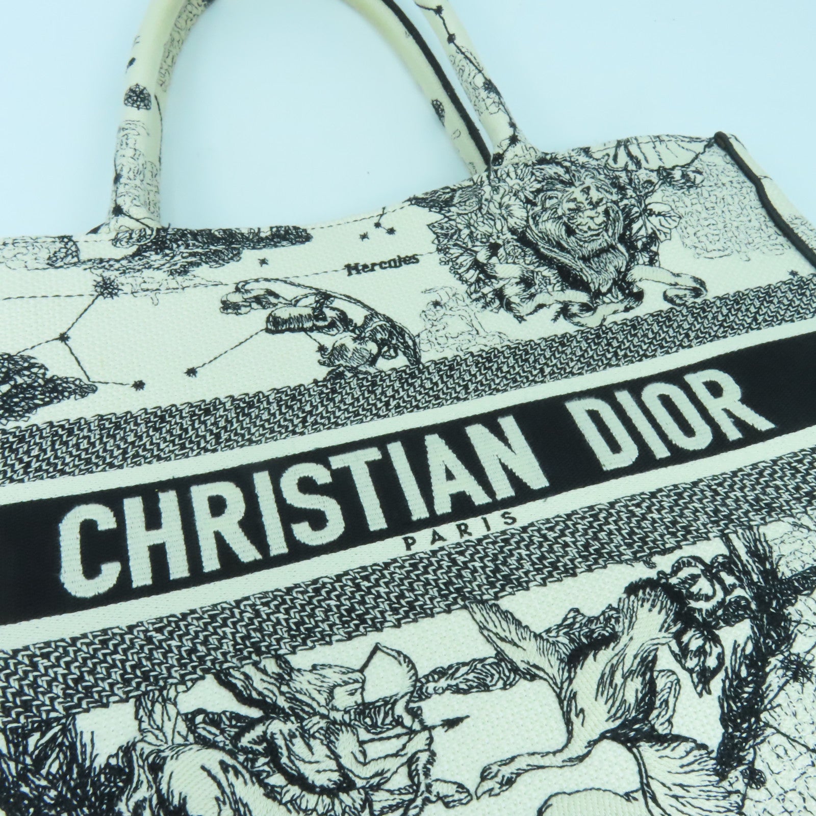 Dior 帆布Medium Book Tote手挽袋黑色/白色