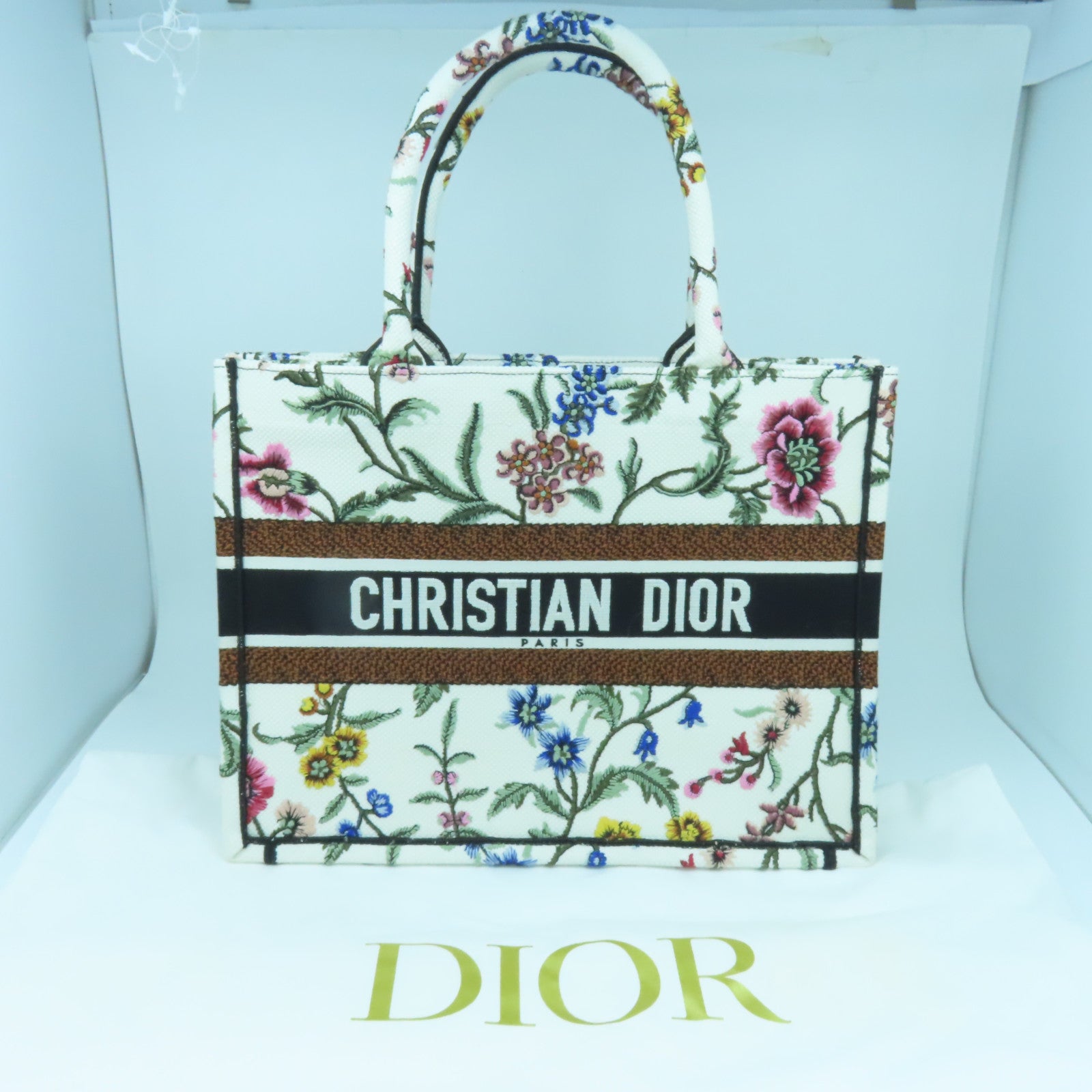 Dior 帆布Medium Book Tote手挽袋白色/彩色