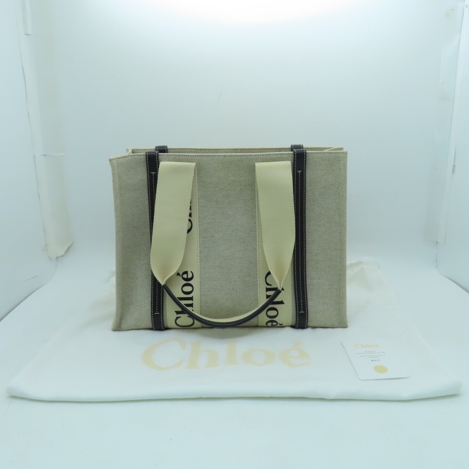 Chloe 帆布Medium Woody手挽袋深灰色/淺灰色