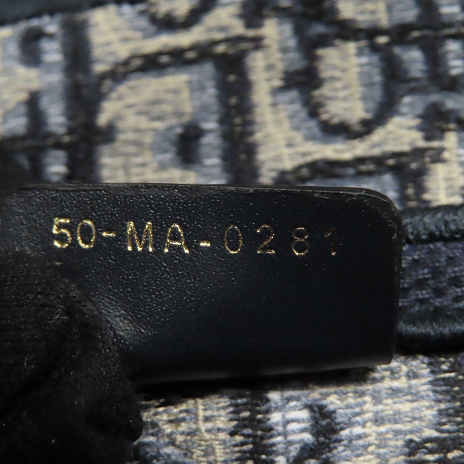 Dior 帆布Saddle金扣肩背袋藍色